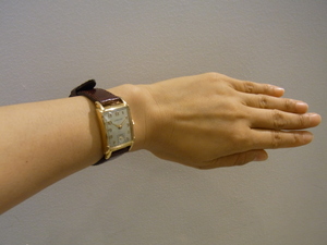 A9540ハミルトン 001.jpg
