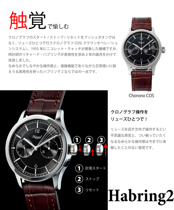 メルマガハブリング1.jpg